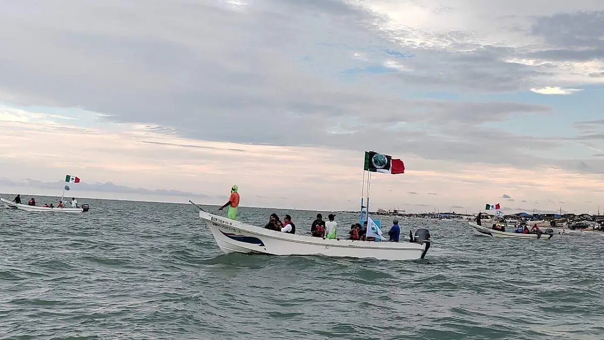 Conibio Global planteará a la Capitanía de Puerto un proyecto de avistamiento de delfines para turistas