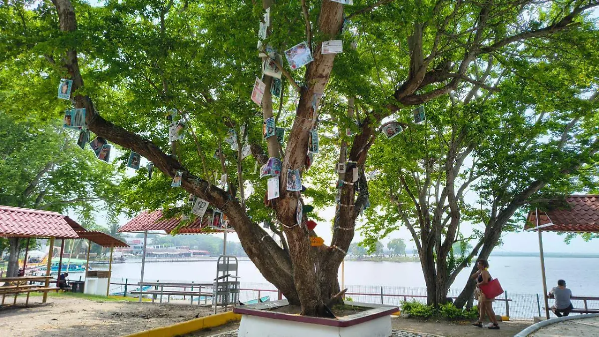 MAD El Árbol 2