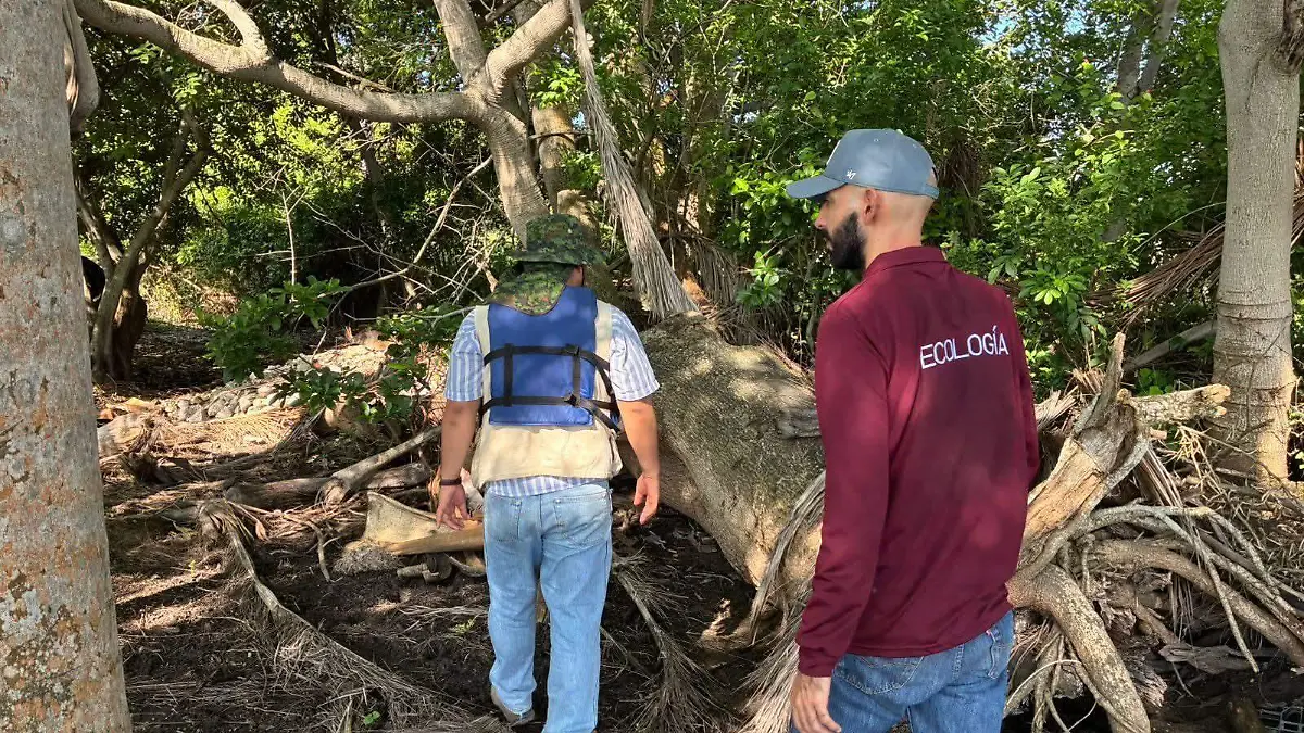 Inspeccionan la zona en donde se ubicó la presencia de las nutrias en Tampico