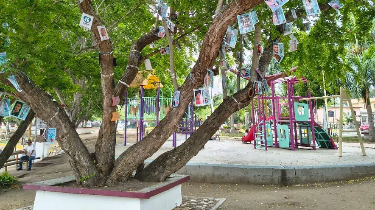 Sus ramitas sirven como homenaje a más de 100 personas desaparecidas