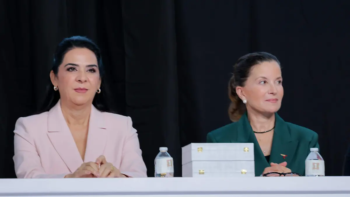 alcaldesa monica villarreal