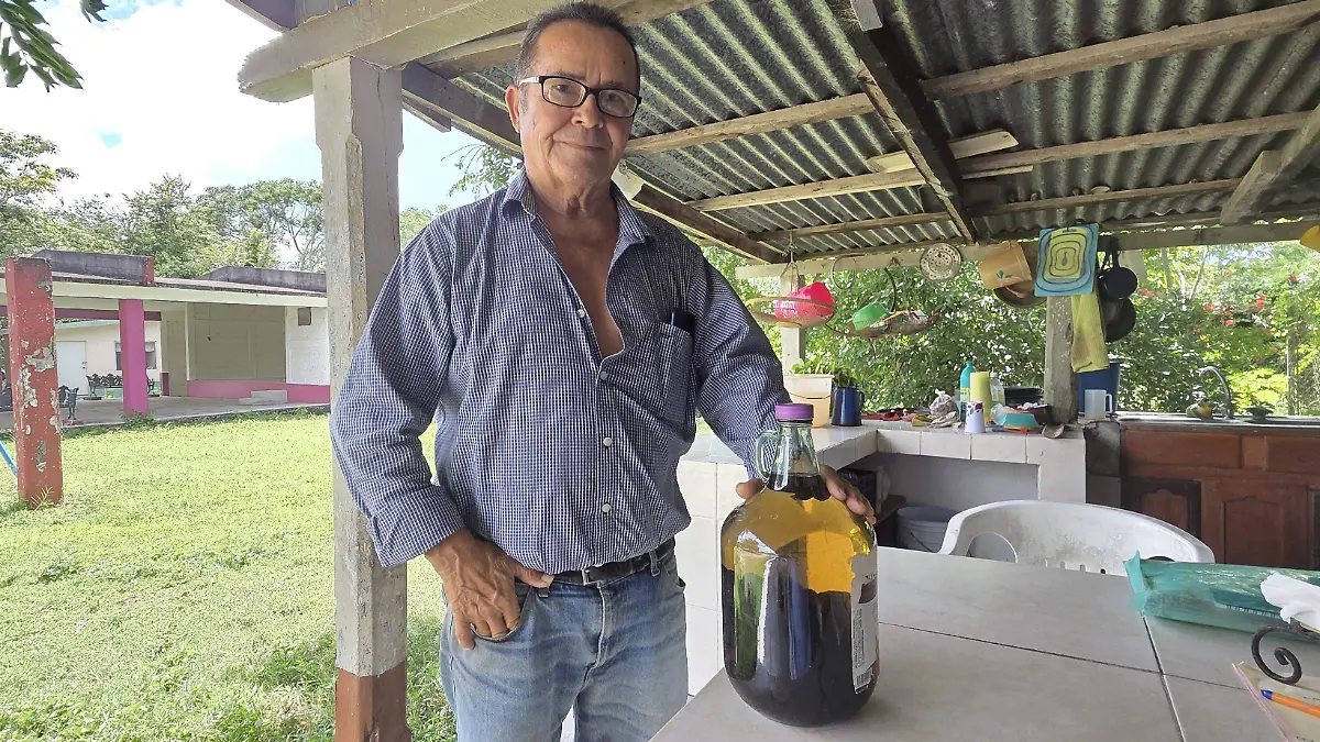 Existen curados curativos como el de aquiche y el de hoja de aguacate oloroso