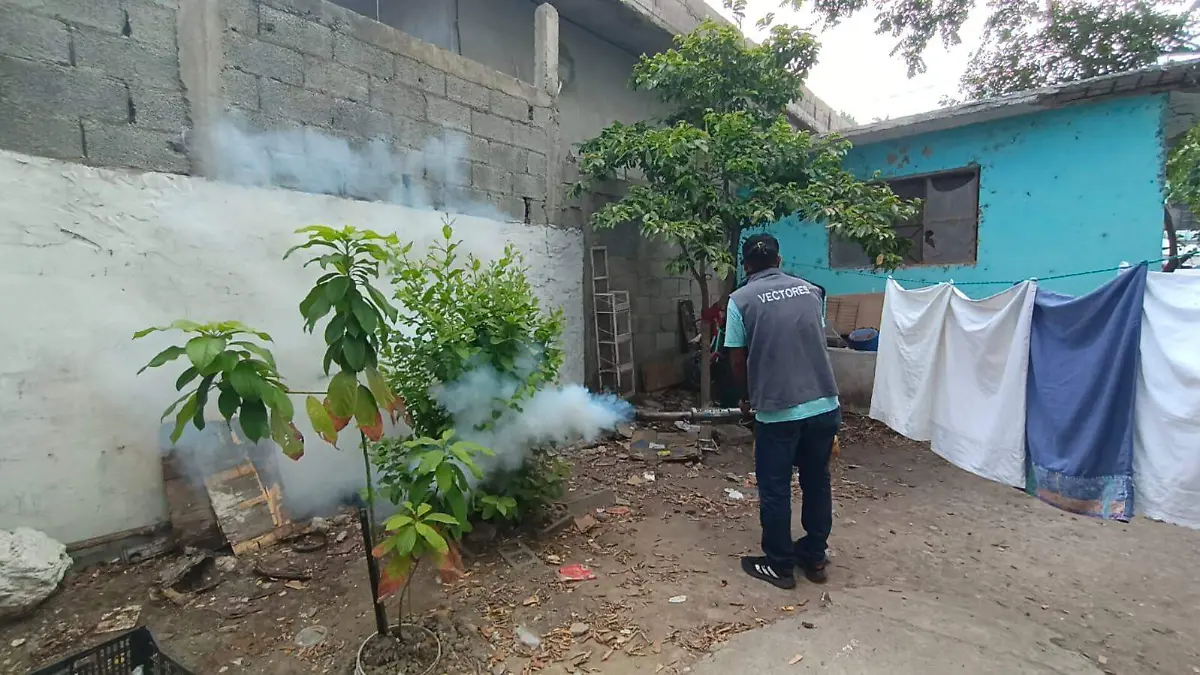 Se realiza la fumigación en diversos sectores para combatir la proliferación del mosquito Aedes aegypti y prevenir dengue