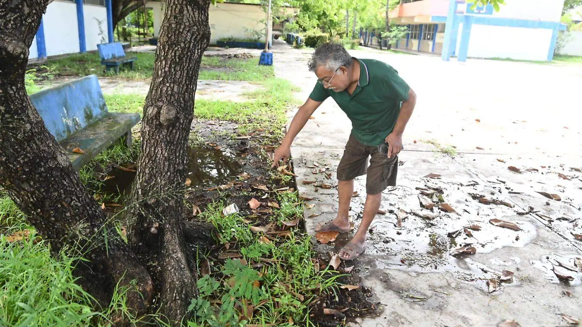 El cableado eléctrico