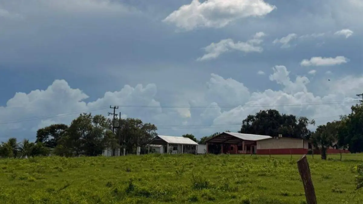 La primaria Amado Nervo, que fue albergue durante el huracán Hilda, sigue en pie