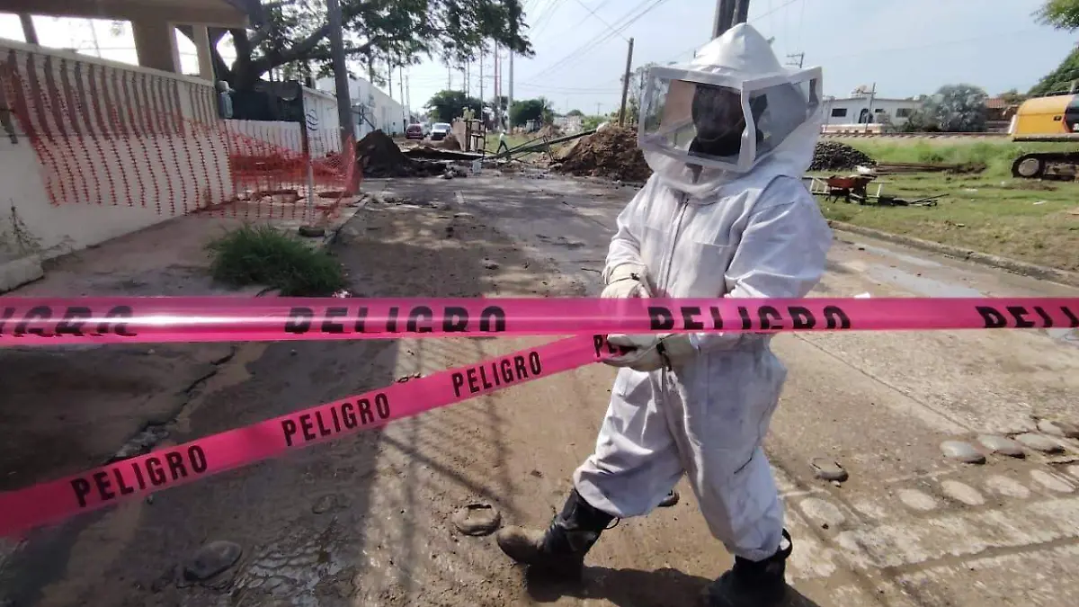 Los trabajos los realizan con equipo especial debido a la presencia de abejas en el área del derrumbe