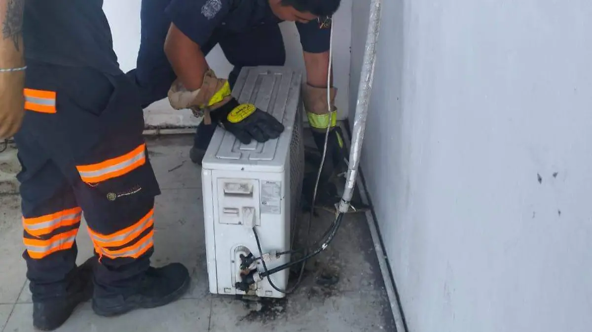 Elementos del H. Cuerpo de Bomberos de Altamira capturaron al reptil que se encontraba en la parte posterior del compresor del aire acondicionado