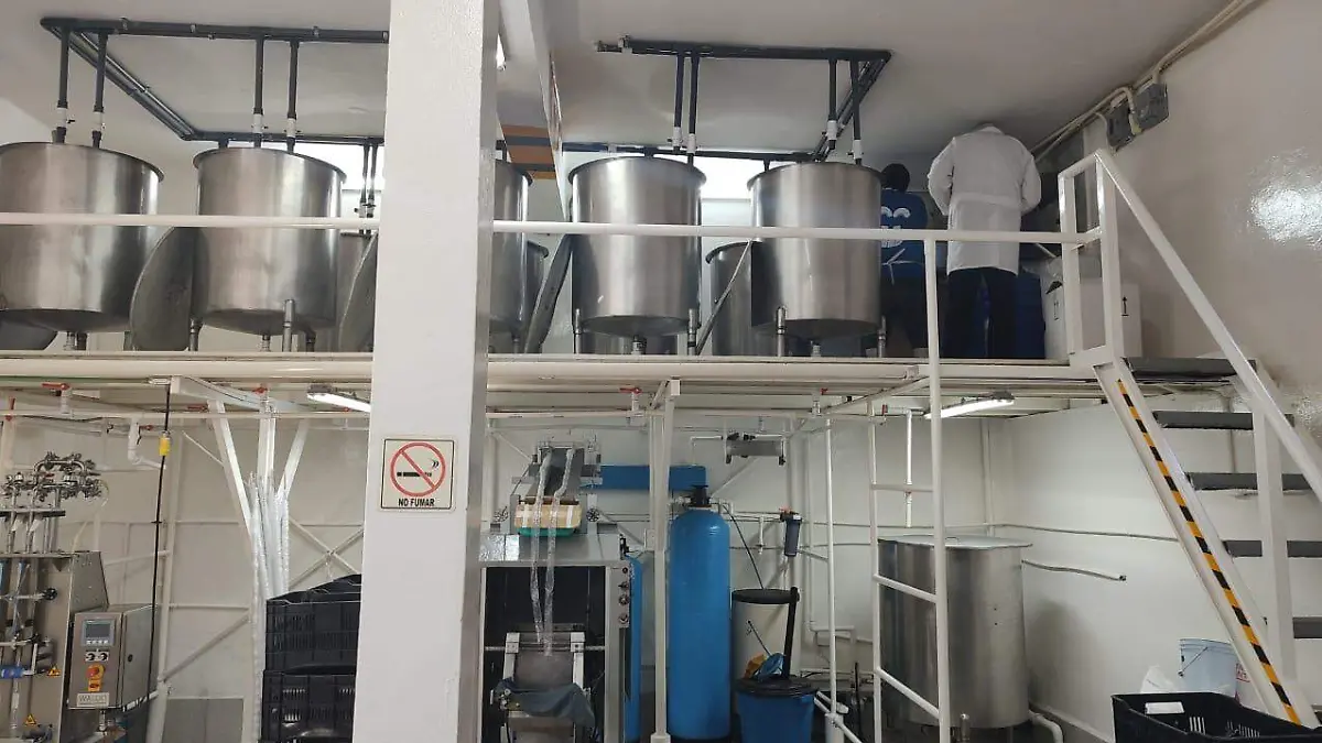 La empresa Sabalito ha logrado expandirse a seis estados del país