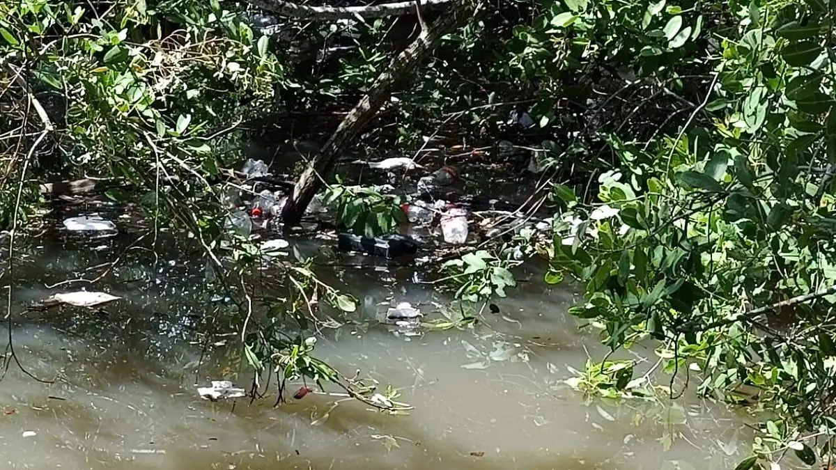 La contaminación se observa