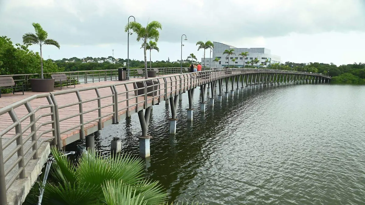 Puente laguna del Carpintero