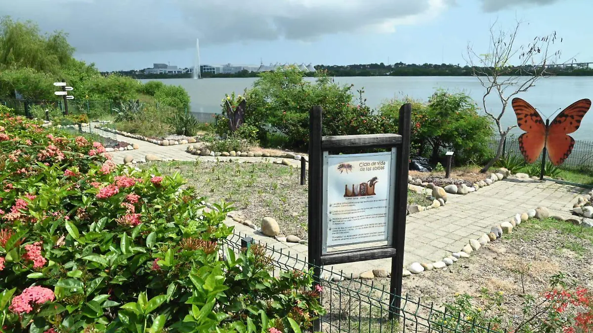 La naturaleza en la laguna del carpintero
