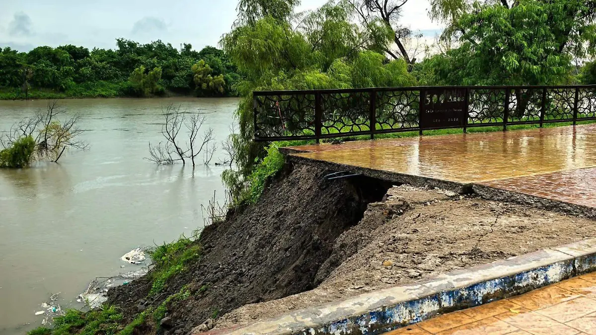 WhatsApp Image 2025-10-09 at 10.29.07 AM (1)