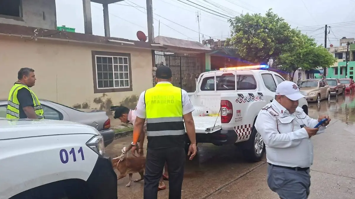 Evacuacion familias Madero
