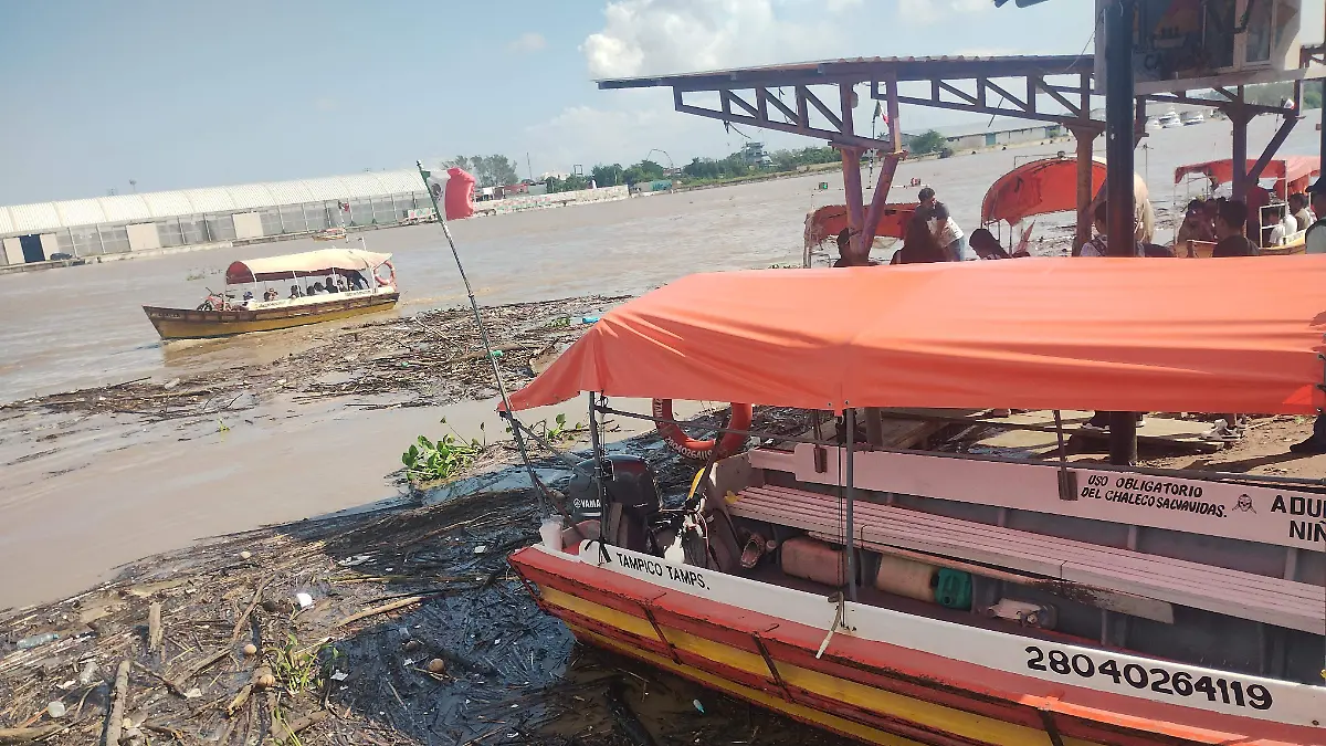 Río Pánuco deja ramas y troncos en Casa Blanca, complicando la navegación
