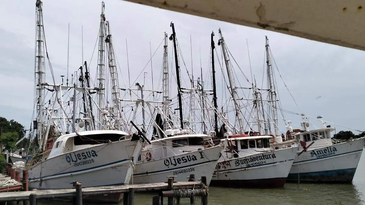tmq pesca camaron  2