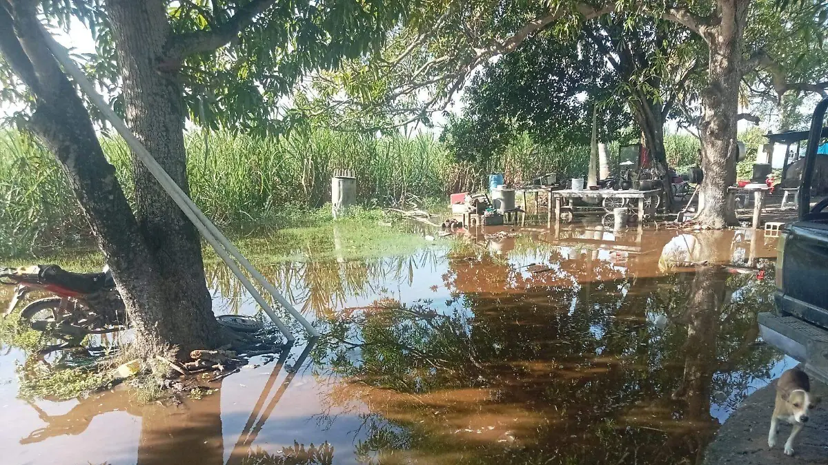 Jornaleros de El Barco, Veracruz, se han quedado sin ingresos debido a las fuertes lluvias que inundaron sus viviendas