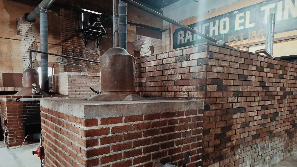 Para todo mal, mezcal de Tamaulipas, y para todo bien, también; Estado cuenta con denominación de origen