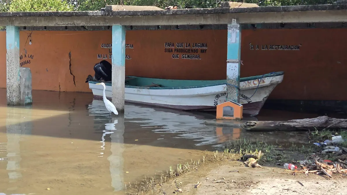 Exceso de agua dulce y sedimentos ponen en riesgo la sustentabilidad de pescadores