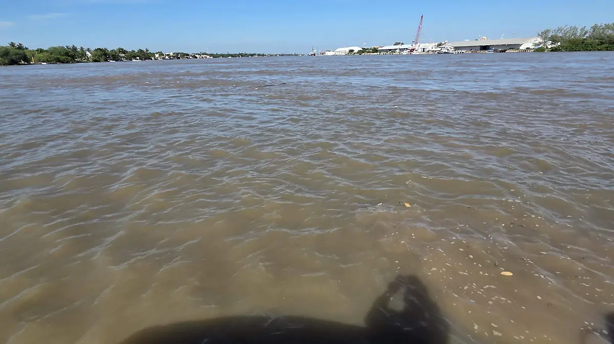 Sin lluvias y con temperaturas estables el Pánuco sigue bajando