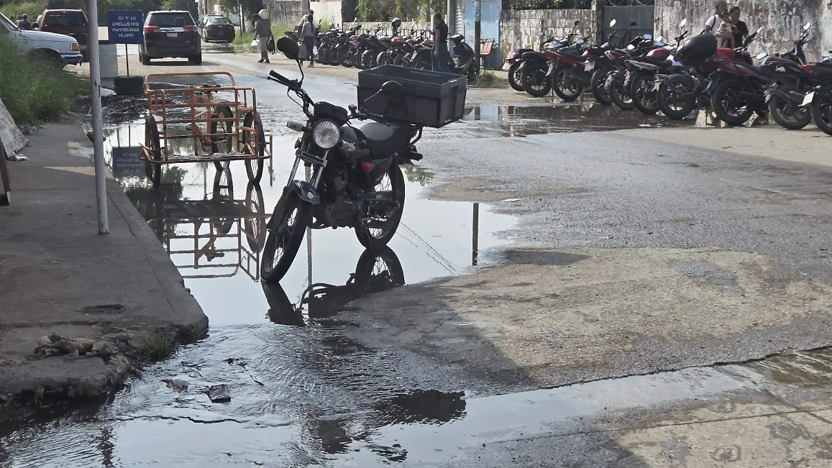 Reportes de los vecinos no tienen respuesta