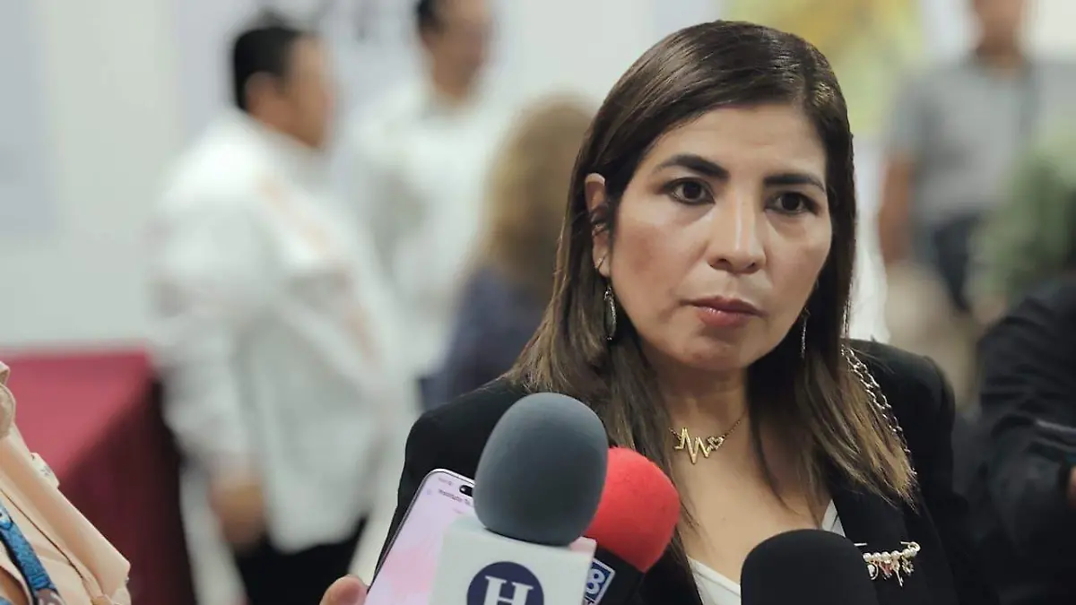 Alicia Zazueta Payán, directora de Eservices