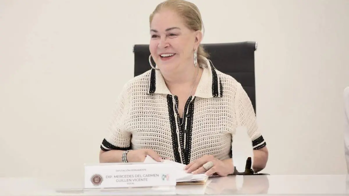 Mercedes del Carmen Guillén Vicente presentó este año una iniciativa sobre la decisión de los tratamientos médicos