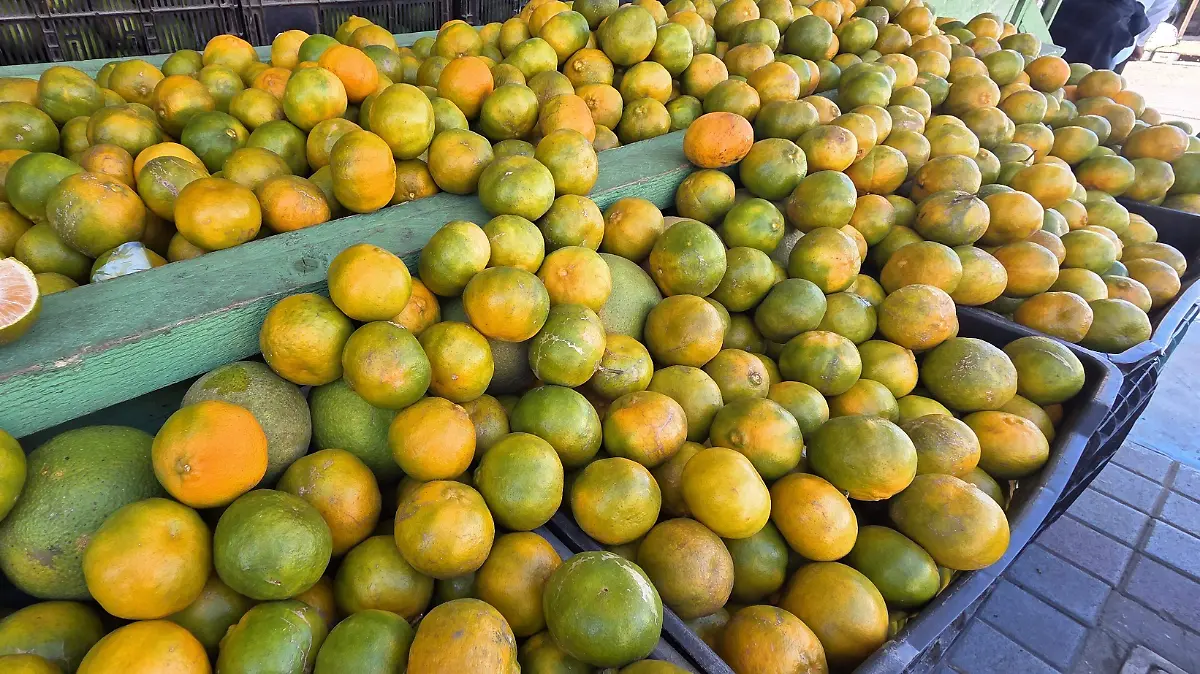 La escasez de mandarina se debe a los daños en las huertas citrícolas provocados por las inundaciones recientes
