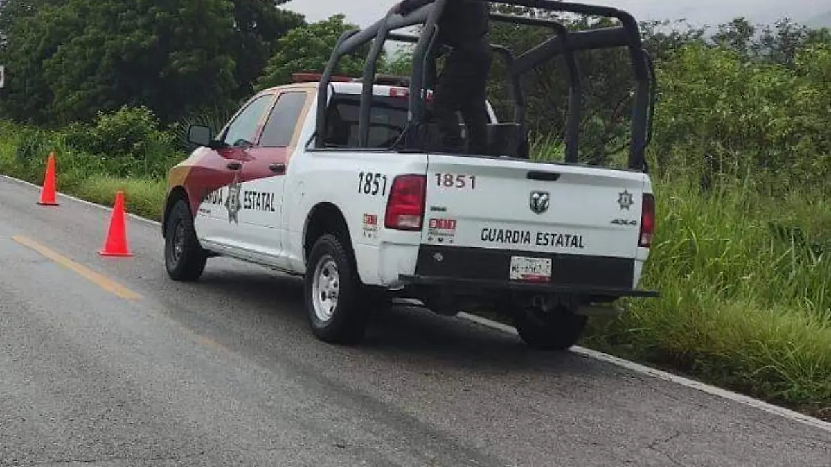 JMC-LOS ELEMENTOS DE LA GUARDIA