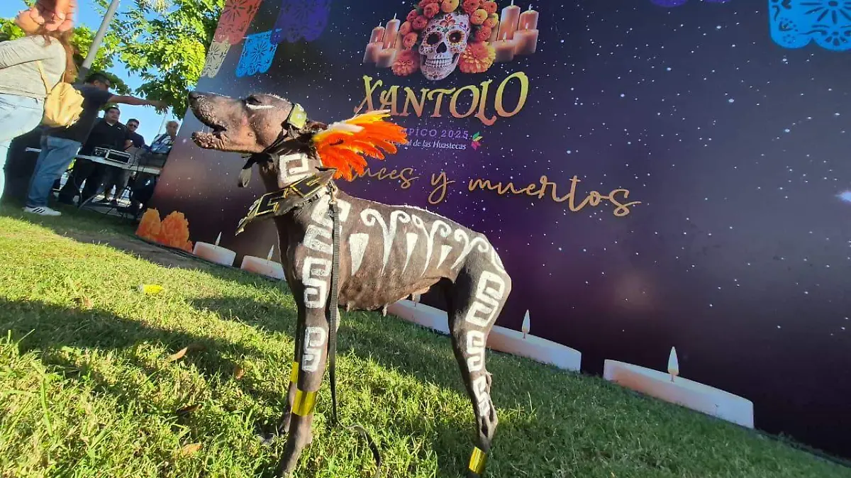 WhatsApp Image 2025-11-02 at 4.07.20 PM