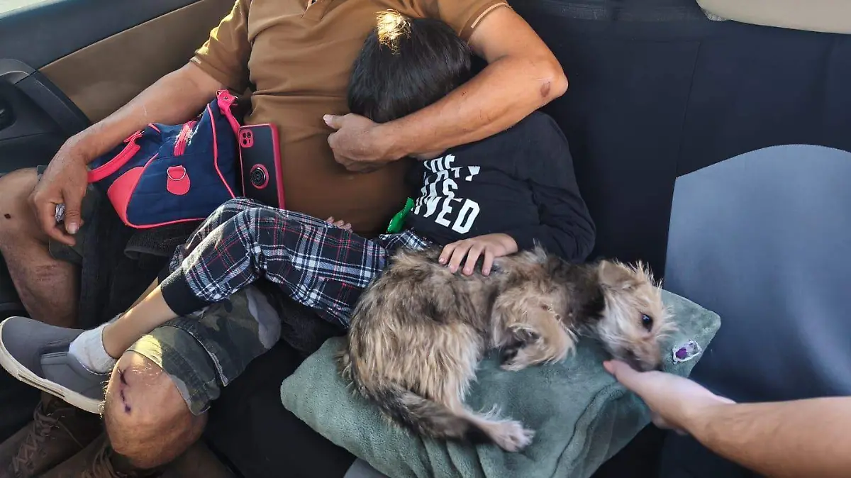 Guardia Estatal en Tamnaulipas cuida a Pelusa y lo ayuda a reencontrarse con su familia