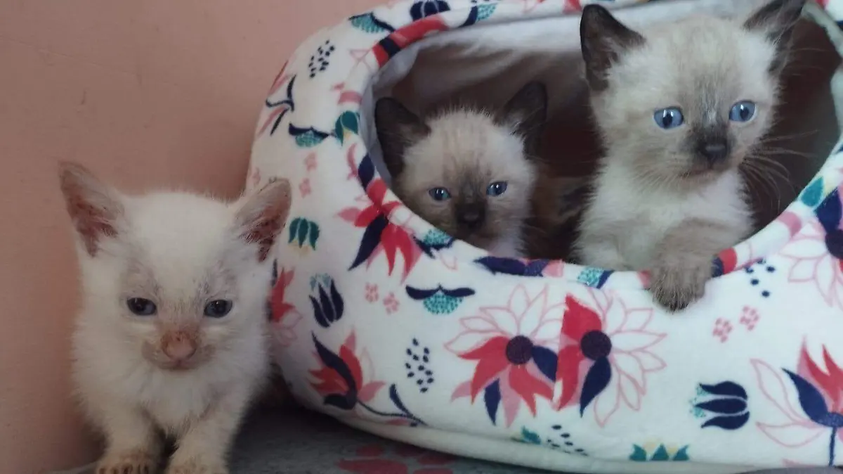 485870985_1063046585856413_652832667807368973_n