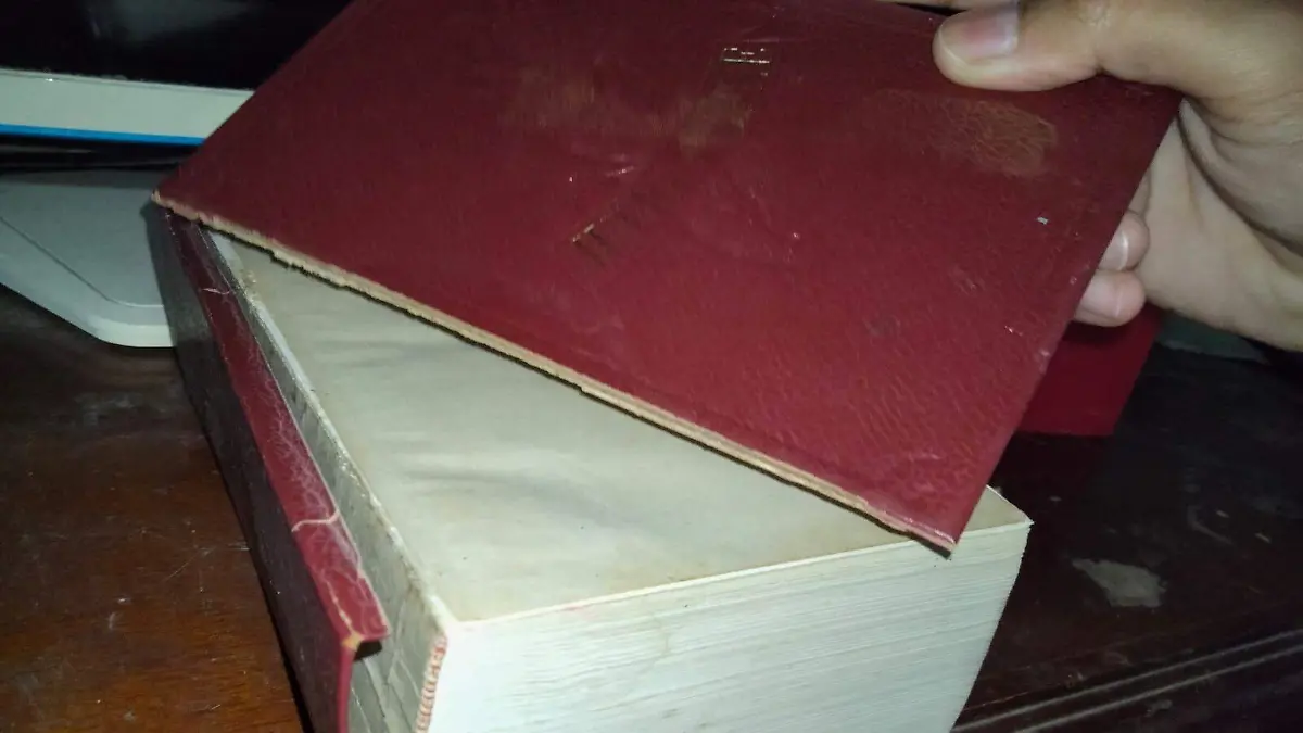 Este diminuto insecto puede comerse tus libros y ropa si hay humedad en casa