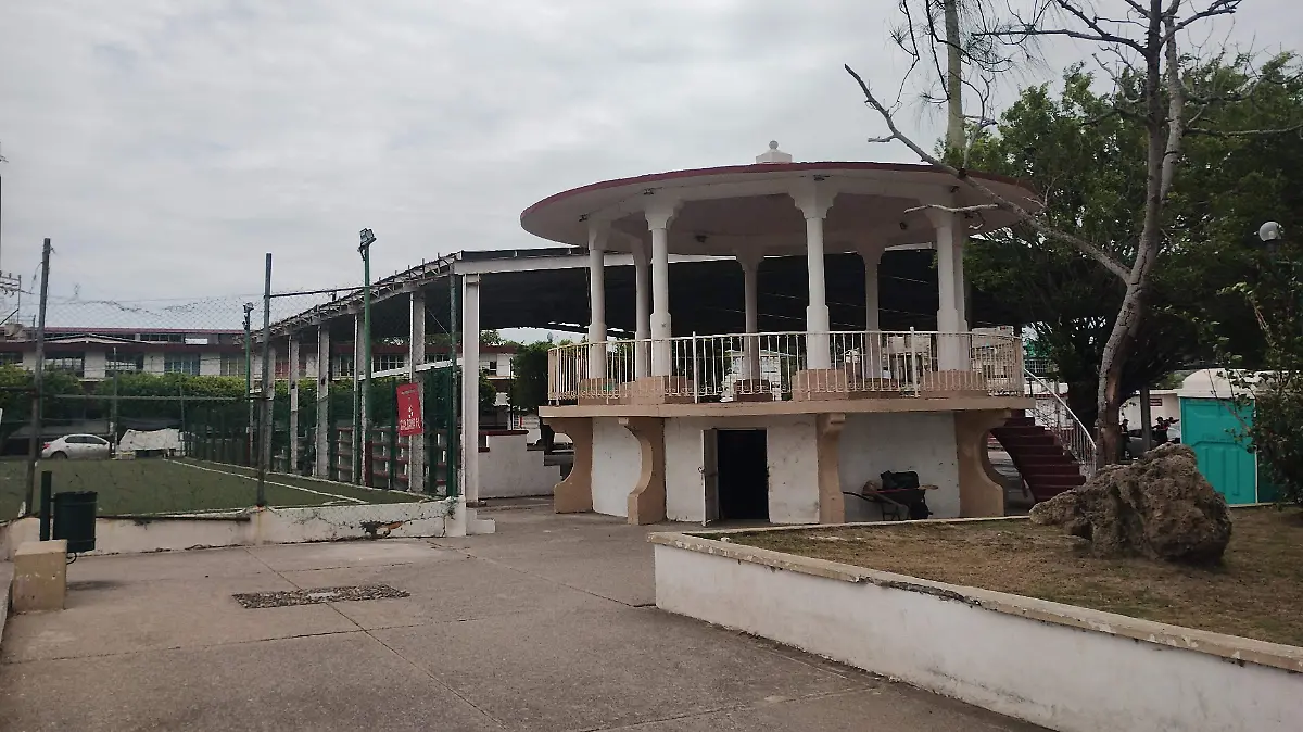 IMG_20251110_122609357