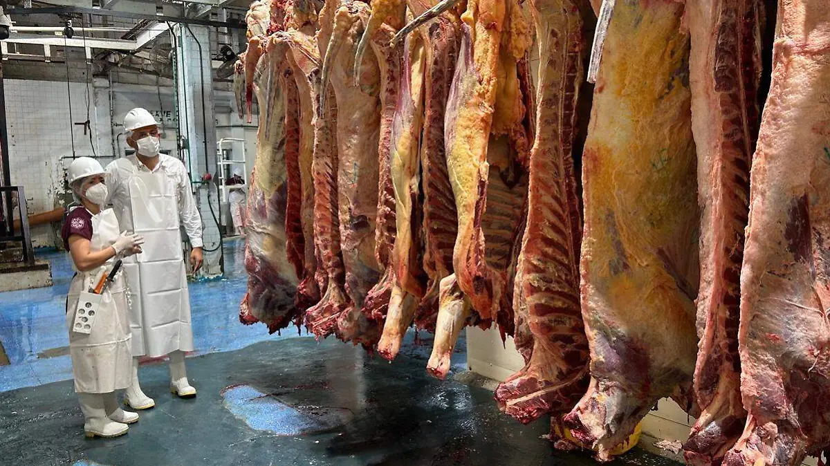 5291c264-6cc0-47db-b92c-57fea738f69c