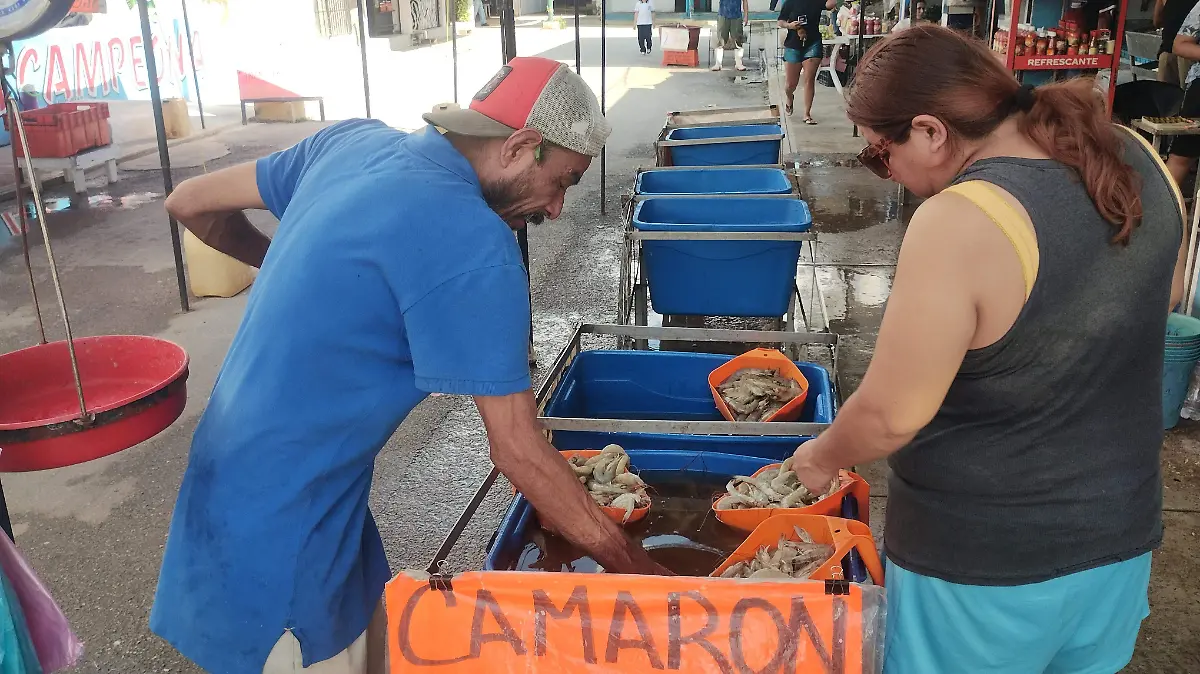 Precio actual del camarón en el sur de Tamaulipas