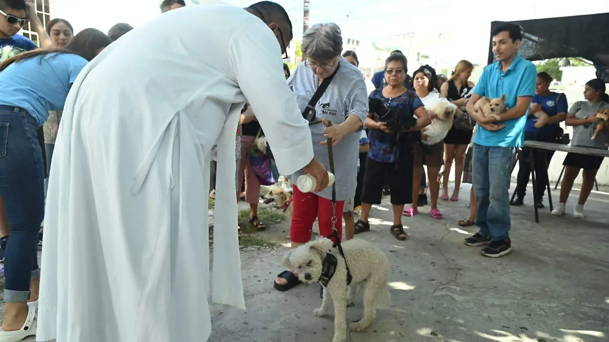 No solo los jóvenes desarrollan un vínculo emocional con las mascotas, la población adulta mayor también encuentran en sus animales de compañía un aliado 
