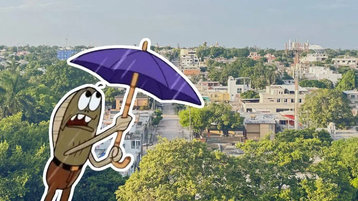 WhatsApp Image 2025-11-26 at 10.36.50 AM