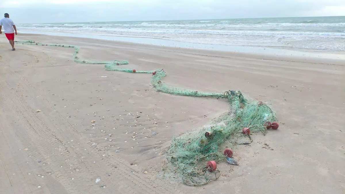 WhatsApp Image 2025-11-26 at 11.04.42 AM