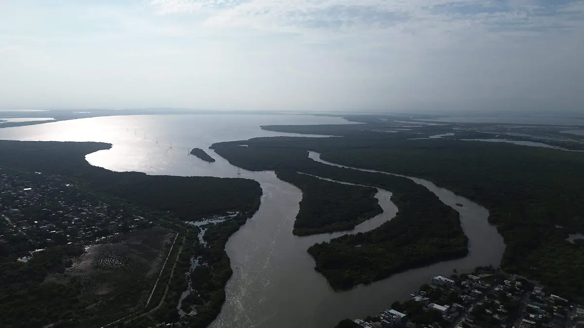Ambientalistas explican la dura verdad detrás de la casi desaparición de la nutria en el sistema lagunario
