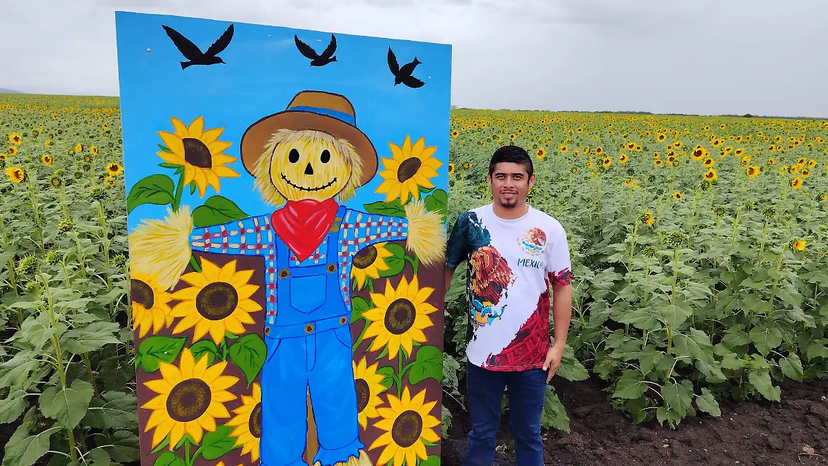 Los campos de girasoles de González ya son un emblema de Tamaulipas