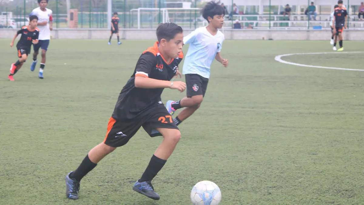 Liga Municipal de Futbol de Tampico