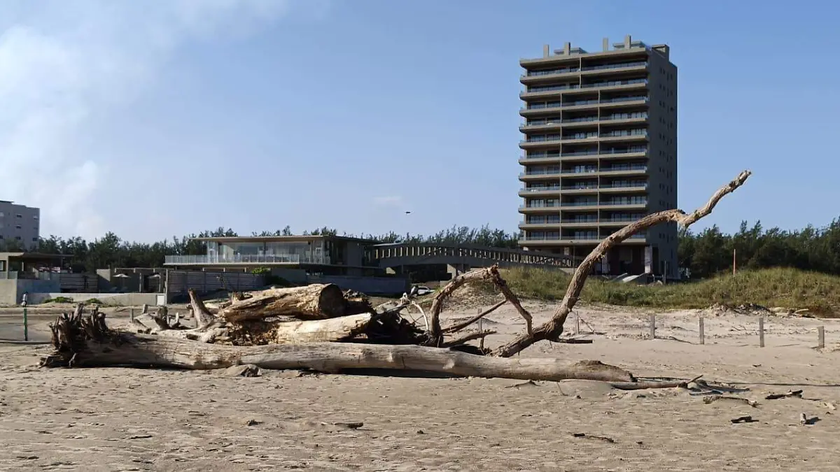 Los trabajos continuarán