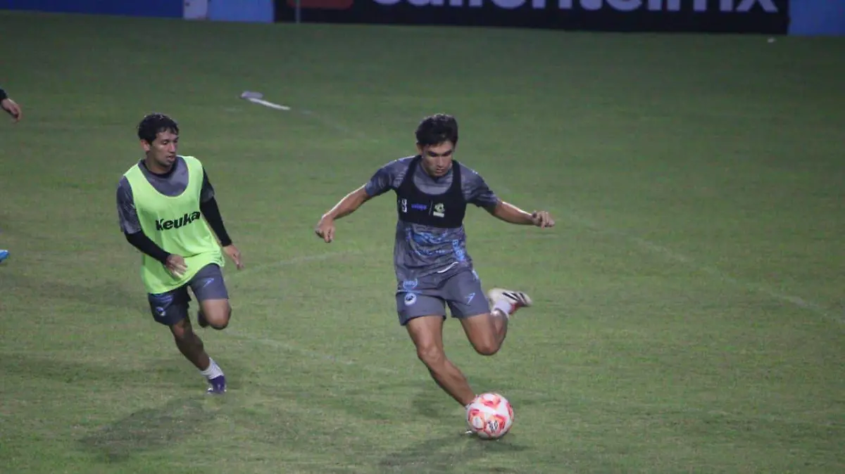 Jugadores Jaiba Brava