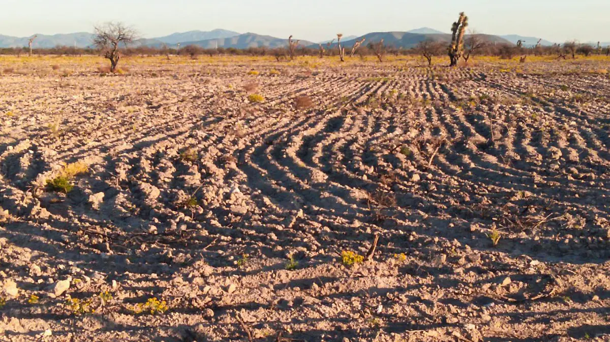 Mal uso de suelo Tamaulipas