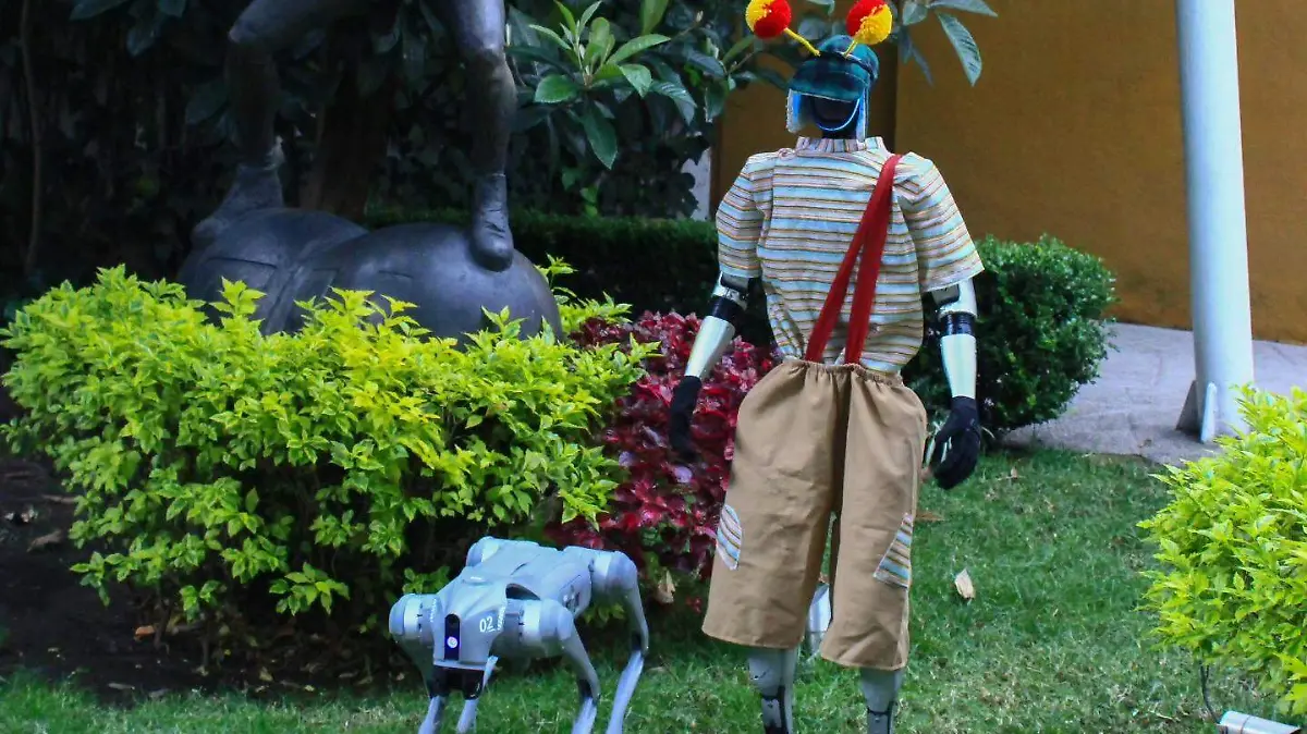 Perro y Chavo Robot Tamaulipas
