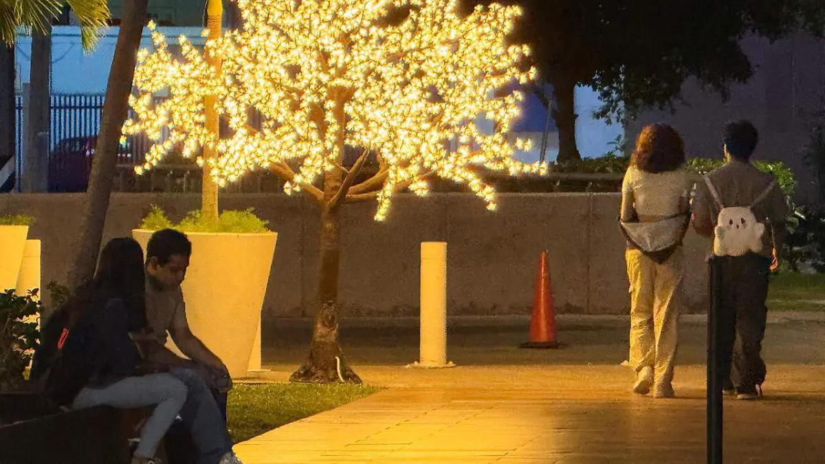 Imagen de WhatsApp 2025-12-13 a las 15.49.57_45113799