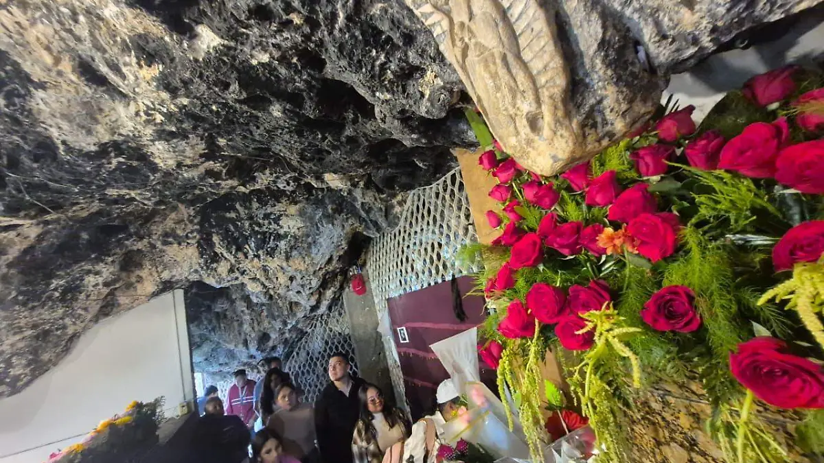 WhatsApp Image 2025-12-12 at 3.47.20 PM