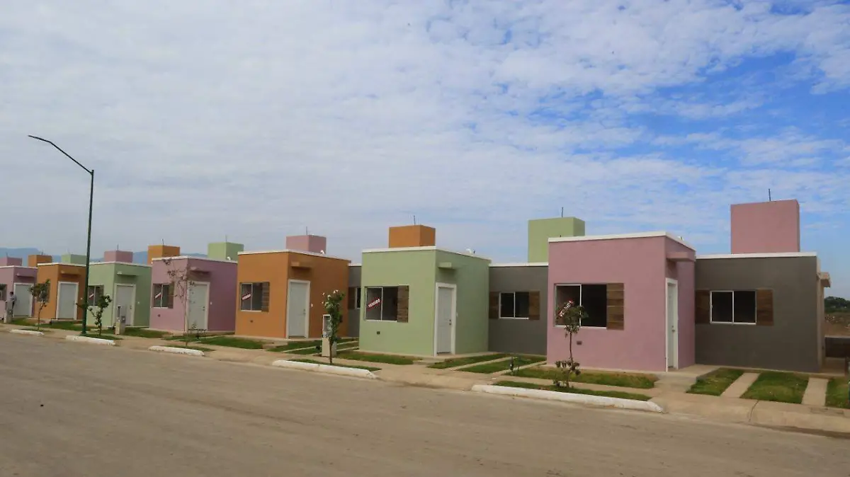 WhatsApp Image 2025-12-13 at 6.53.51 PM