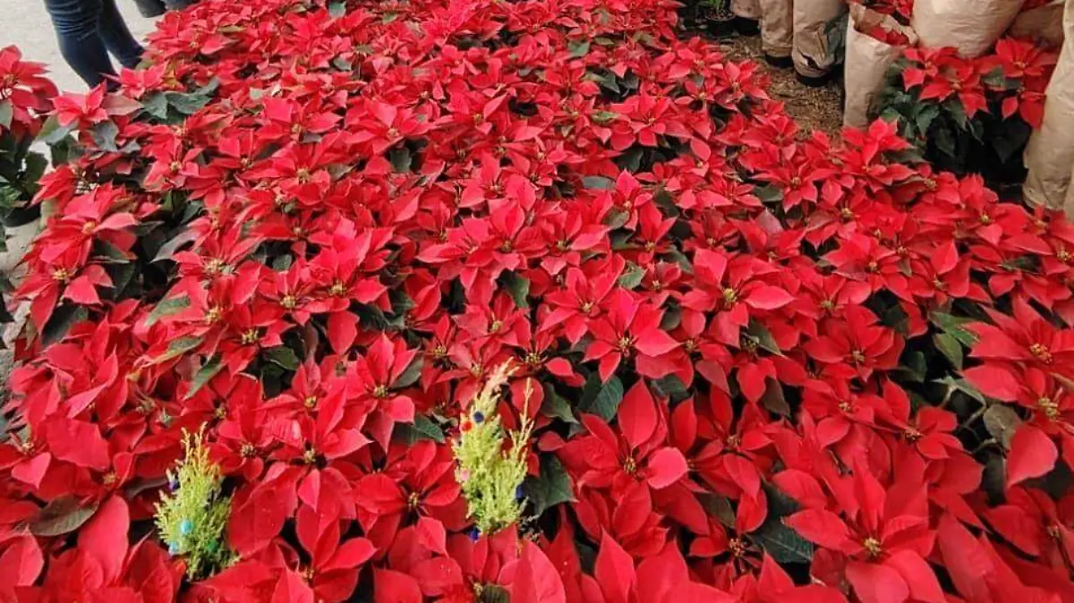 8e1b6730-870f-418c-8cef-c473158c6328