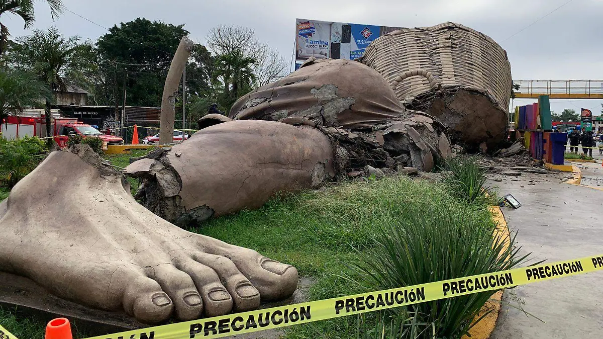 Colotero Alamo acordonado